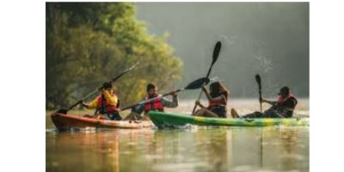 Ultimate Goa Canoe Adventures & Kayaking Day Tours on Chapora River with KonkanExplorer