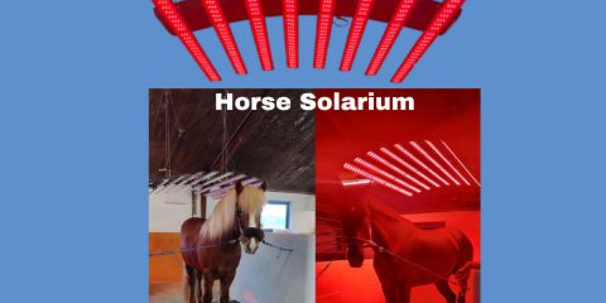 Enhance Equine Wellness and Performance with a Premium Horse Solarium Device