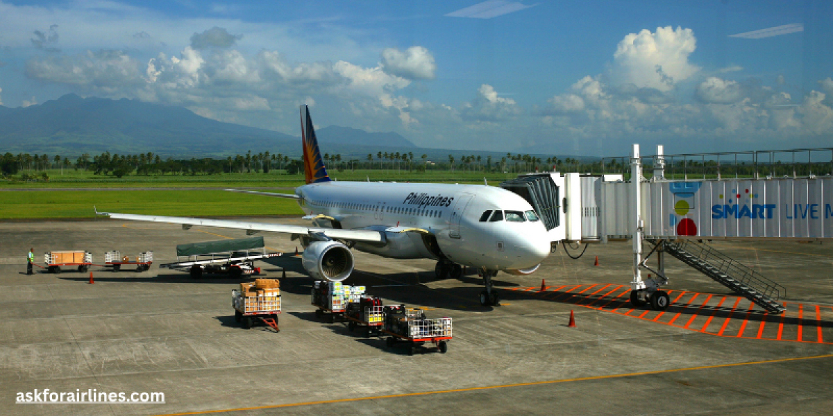 Philippine Airlines Customer Support Phone Number New York for Return Journey Rebooking