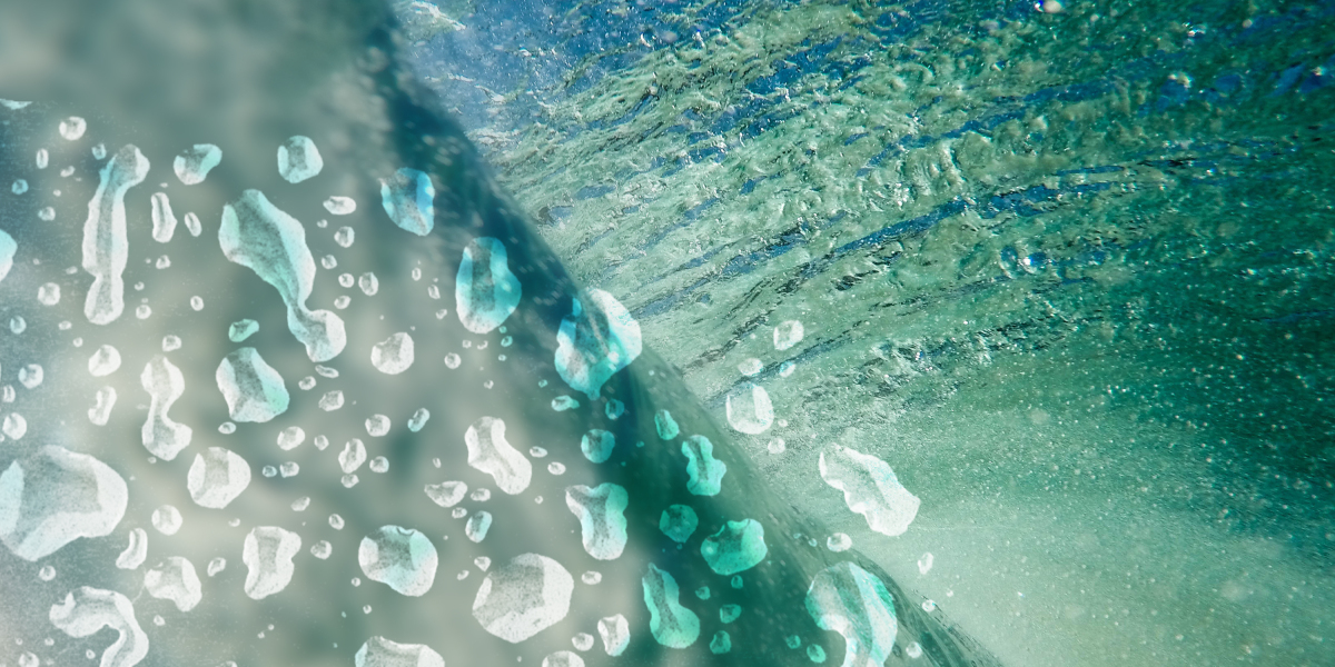 RVR Air Charter: Revolutionizing Private Air Travel with Unmatched Convenience and Safety