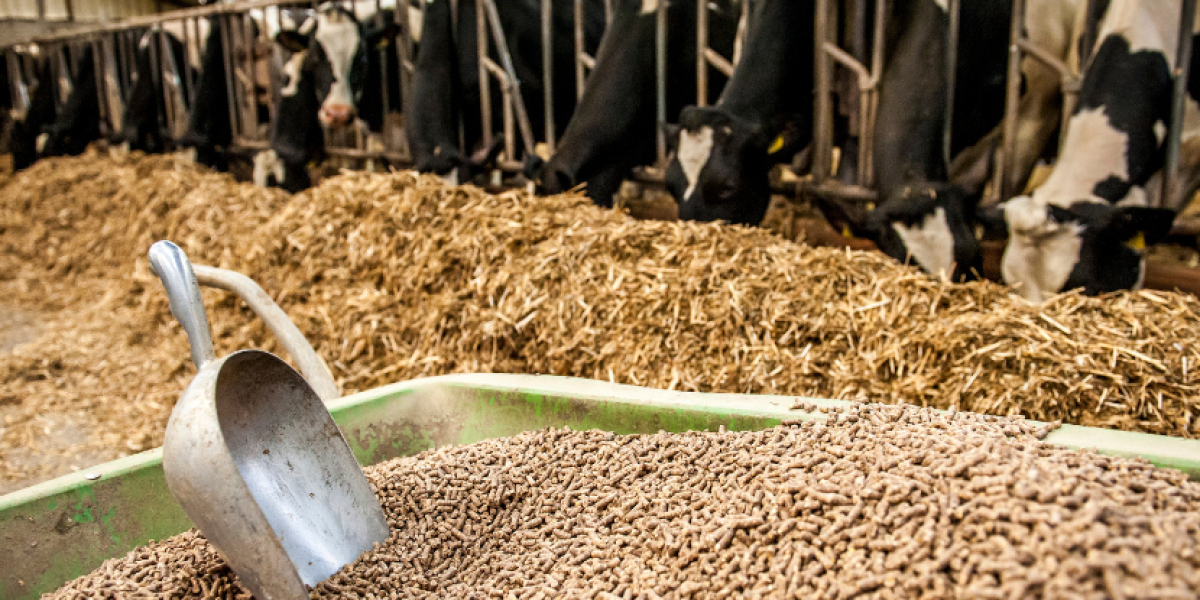 India Animal Feed Market Growth, Size & Trends 2026-2035