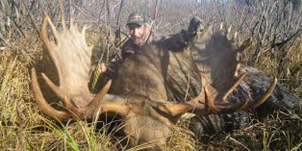 Bison Hunts with Hunt Nation: The Ultimate North American Big Game Experience