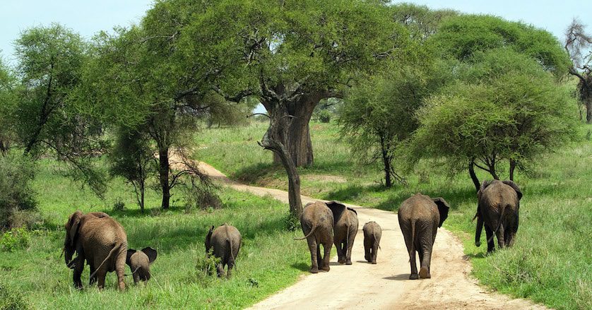 Kidepo National Park Uganda ( Big five Africa parks )