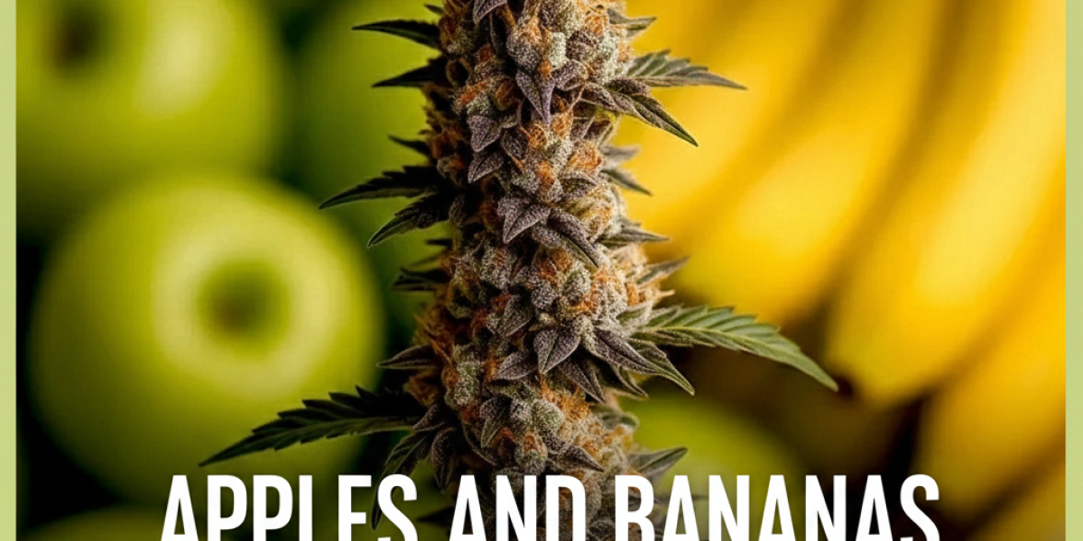 Apples & Bananas Cannabis Seeds: Grow & Flavor Guide