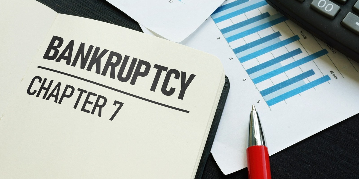 Filing Bankruptcy Chapter 7 in GA: What the Legal Filing Involves