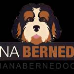Michiana Bernedoodles