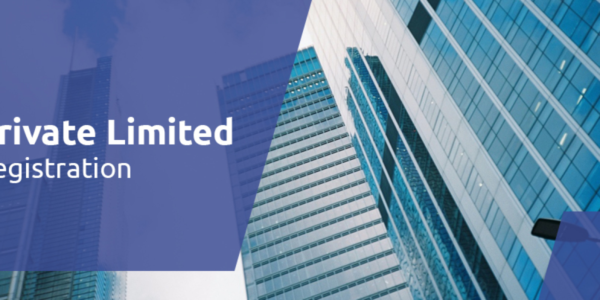 Affordable Private Limited Company Registration Services India